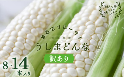 2027年先行予約 訳あり 牛窓産 白色 とうもろこし うしまどんな （8～14本入り） 約3kg まるでフルーツ！ 生で甘い、茹でて美味い！ 白色とうもろこし 野菜 ホワイトコーン 夏野菜 おやつ 間食 お弁当 バーベキュー BBQ 髙田農園 2831671 - 岡山県瀬戸内市