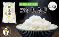 ★7日以内でスピード発送★ 令和7年産 新潟県産コシヒカリ『能生米』5kg 農家直送 米・食味鑑定士お墨付き 2025年産 あぐ里能生 能生米【新潟県 糸魚川市 米 お米 こめ コメ ご飯 ライス ふるさと納税米 ブランド米 おすすめ ギフト 5キロ 精米 白米 人気 食品 選べる配送月】