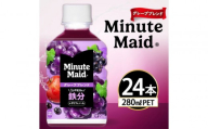 ミニッツメイド グレープブレンド 鉄分 280ml×24本 | ミニッツメイド グレープ 鉄分 ジュース ソフトドリンク 人気 子供 ペットボトル ケース 箱買い まとめ買い 備蓄 飲料 ふるさと納税 工場 土浦市 茨城工場