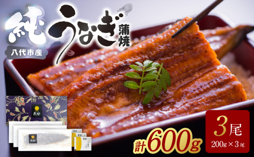 うなぎ蒲焼3尾セット（200g×3尾）合計600g　たれ・山椒付き  鰻 うなぎ ウナギ 国産 冷凍 うな重 蒲焼 丑の日 鰻楽 熊本県 八代市 2832965 - 熊本県八代市