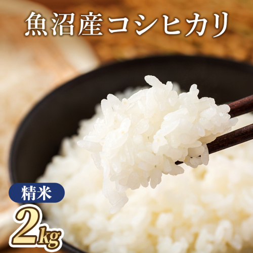 令和8年産 魚沼産コシヒカリ（精米）2kg 米 こしひかり 魚沼市 2832967 - 新潟県魚沼市