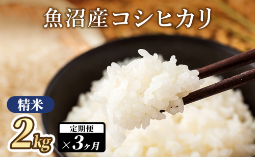 魚沼産コシヒカリ（精米）2kg×3か月 米 こしひかり 定期便 定期 魚沼市 2832968 - 新潟県魚沼市