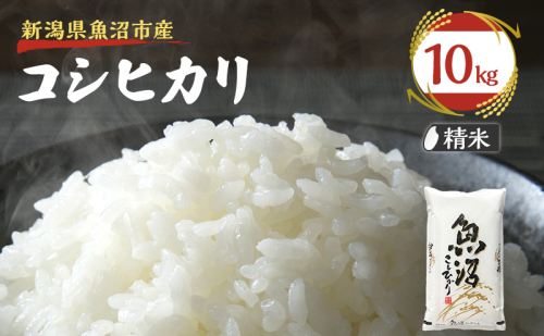 令和8年産【雪国逸品　精米10kg】越後魚沼郷 魚沼産コシヒカリ 2832973 - 新潟県魚沼市