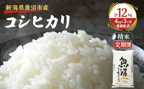 【定期便：雪国逸品　精米4kg×3ヶ月】越後魚沼郷 魚沼産コシヒカリ 2832980 - 新潟県魚沼市