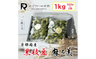 京都府産 黒枝豆 麻ろ美BOX 約1kg(500g×2袋)　ロックファーム京都【1781152】