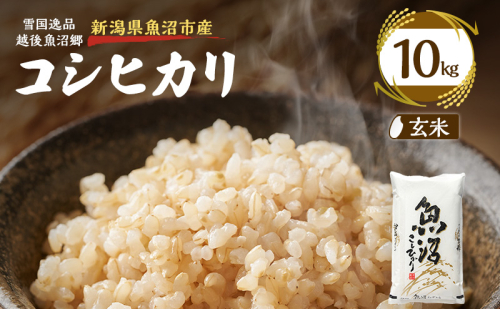 令和8年産【雪国逸品 玄米10kg】越後魚沼郷 魚沼産コシヒカリ 2833023 - 新潟県魚沼市