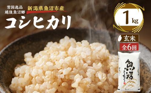 【定期便：雪国逸品 玄米1kg×6ヶ月】越後魚沼郷 魚沼産コシヒカリ 2833025 - 新潟県魚沼市