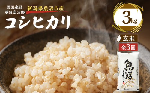 【定期便：雪国逸品 玄米3kg×3ヶ月】越後魚沼郷 魚沼産コシヒカリ 2833027 - 新潟県魚沼市