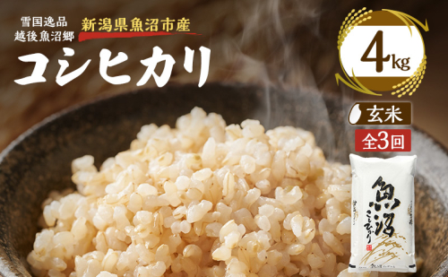 【定期便：雪国逸品 玄米4kg×3ヶ月】越後魚沼郷 魚沼産コシヒカリ 2833030 - 新潟県魚沼市