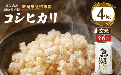 【定期便：雪国逸品 玄米4kg×6ヶ月】越後魚沼郷　魚沼産コシヒカリ 2833031 - 新潟県魚沼市