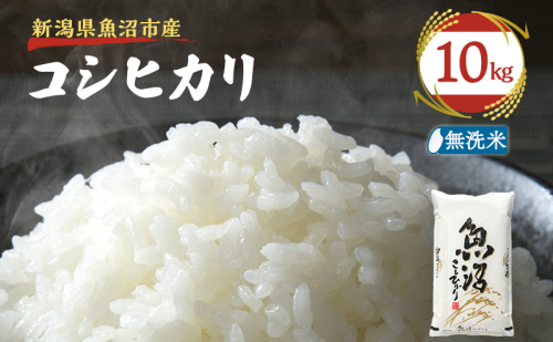 令和８年産【雪国逸品 無洗米10kg】越後魚沼郷 魚沼産コシヒカリ 2833039 - 新潟県魚沼市