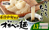 【2027年6月中旬発送】「オカベの麺」 1束90g 13束 素麺 そうめん オカベの麺 素麺 のし ギフト お歳暮 徳島県 美馬市