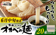 【2027年6月中旬発送】「オカベの麺」20束 1束90g 素麺 そうめん オカベの麺   素麺 のし ギフト お歳暮 徳島県 美馬市