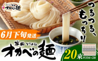 【2027年6月下旬発送】「オカベの麺」20束 1束90g 素麺 そうめん オカベの麺   素麺 のし ギフト お歳暮 徳島県 美馬市