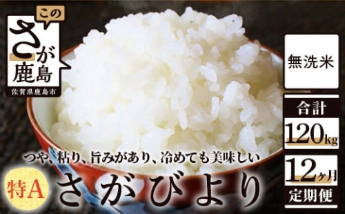 N-14 無洗米さがびより10kg定期便（12か月）