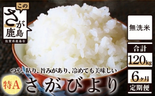 N-15 無洗米さがびより20kg定期便（6か月） 283414 - 佐賀県鹿島市