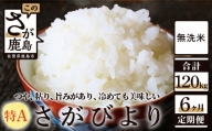 N-15 無洗米さがびより20kg定期便（6か月）
