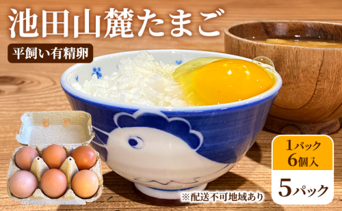 池田山麓たまご（平飼い有精卵）5パック（1パック6個入） 卵 セット 有精卵 岐阜県 池田町 2835423 - 岐阜県池田町