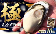 【11月12日(木) 発送】ミルク牡蠣 殻付き10個入り 広島県江田島市／株式会社丸杉水産 [XCY001-012]