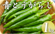 三原村産　ゆず農家が作る　大きな青唐辛子”大紅”　1000ｇ　長さ８～15cm！