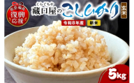 【2026年10月発送】令和8年産 こしひかり5kg（玄米） wa016-003-r8-10 お米 コメ コシヒカリ 白米 ごはん ご飯 玄米 能登 輪島 石川県