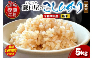 [スピード発送]令和8年産 こしひかり5kg(玄米) wa016-003-r8-sp お米 コメ コシヒカリ 白米 ごはん ご飯 玄米 能登 輪島 石川県