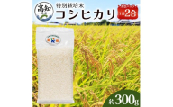 【令和8年度産】 米（コシヒカリ） 2合（300g) ×2 お米 精米 こしひかり 2合 特別栽培 真空包装 真空パック 使い切り SDGs 備蓄 こめ コメ お米 おこめ ライス ke-0059