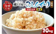 【2026年10月発送】令和8年産 こしひかり10kg（玄米） wa016-005-r8-10 お米 コメ コシヒカリ 白米 ごはん ご飯 玄米 能登 輪島 石川県