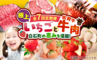 【R8年1月以降発送】【先行予約】【7回定期便】産地直送！白石町産 いちごと牛肉の極上定期便 [IZZ014]