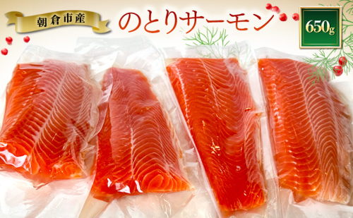 サーモン 朝倉市産 のとりサーモン 650g 魚 冷凍 ※配送不可:離島 2838308 - 福岡県朝倉市