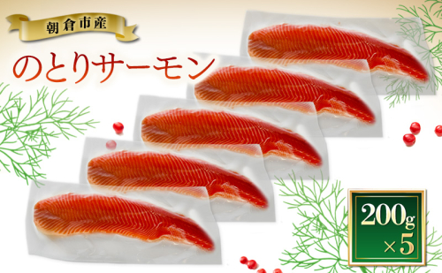 サーモン 朝倉市産 のとりサーモン 200g×5 魚 冷凍 ※配送不可:離島 2838309 - 福岡県朝倉市