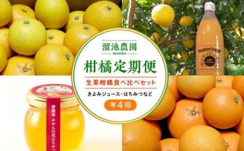 【定期便】溜池農園　柑橘定期便（年4回）