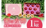 [2024年発送]沖縄情熱農園 農薬不使用栽培パッションフルーツ 「蜜の女神」1kg(化粧箱)