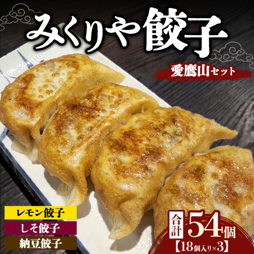 みくりや餃子 愛鷹山セット 大（18個入り×3） | 食べ比べ 詰め合わせ バラエティー 冷凍 ギョウザ 惣菜 おかず お弁当 レモン餃子 しそ餃子 納豆餃子 2842348 - 静岡県御殿場市