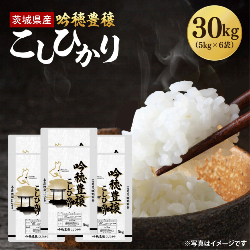 ＜令和8年産 ＞新米 吟穂豊穣こしひかり 30kg(5kg×6袋)コシヒカリ こしひかり 米 ごはん コメ お米 白米 国産 茨城県産 2842365 - 茨城県大洗町
