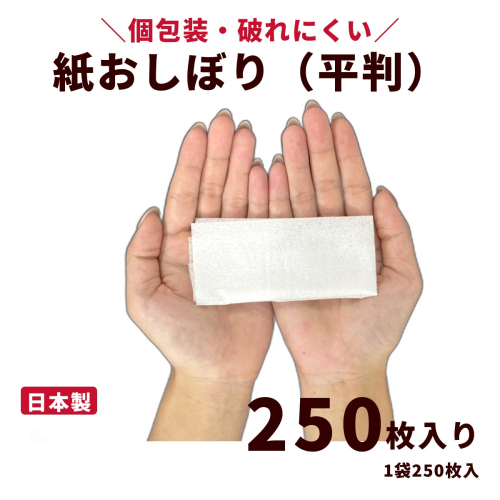 紙おしぼり 平判（250枚入り）｜日用品 消耗品 業務用 使い捨て 2842468 - 高知県日高村