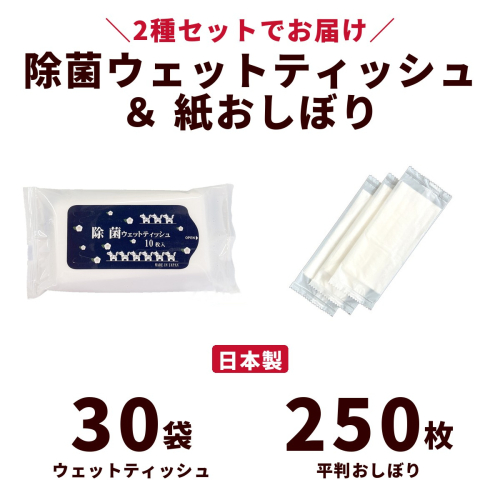 干支デザイン除菌ウェットティッシュ＆紙おしぼり平判セット（30袋＋250枚）｜日用品 消耗品 業務用 2842473 - 高知県日高村