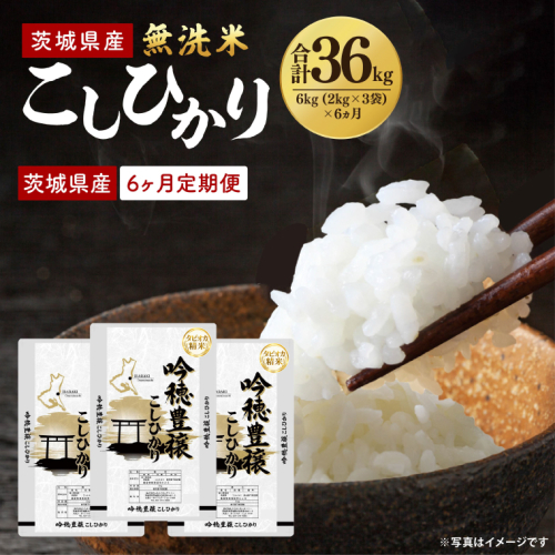【6ヵ月定期便】＜令和8年産 ＞新米無洗米こしひかり 6kg×6ヵ月 2842493 - 茨城県大洗町