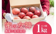 [2024年発送]沖縄情熱農園 農薬不使用栽培パッションフルーツ 「蜜の女神」1kg(エコ箱)
