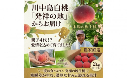 【2027年8月中旬〜発送　先行予約】川中島産 川中島白桃 2kg 2842565 - 長野県長野市