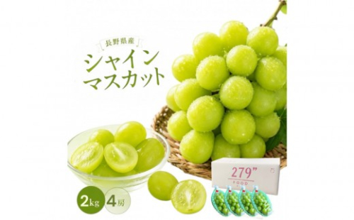 秀品　シャインマスカット　2キロ　長野市産｜ぶどう 産地直送 秀品 大粒 人気 おすすめ 果物 フルーツ シャイン 贈答用 ギフト 旬 デザート葡萄 贈り物 長野県 長野市 信州 信濃 ふるさと納税 2842568 - 長野県長野市