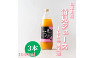 N081 清見１００％ジュース　１０００ｍｌ　３本
