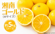 湘南ゴールド（Mサイズ） ／ 湘南ゴールド 柑橘 オレンジ 国産フルーツ 甘酸っぱい 爽やか 香り豊か ジューシー 果汁 フルーツ 果物 旬の果物 No.117