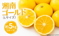 湘南ゴールド（Lサイズ） ／ 湘南ゴールド 柑橘 オレンジ 国産フルーツ 甘酸っぱい 爽やか 香り豊か ジューシー 果汁 フルーツ 果物 旬の果物 No.118