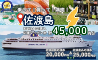 佐渡島船旅＆産品購入応援クーポン券 45,000円分（佐渡船旅応援券20,000円分 佐渡産品応援券25,000円分） | 佐渡汽船 クーポン券 利用券 乗船券 船 船チケット カーフェリー ジェットフォイル お土産 佐渡島 新潟県 佐渡市