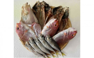黒部の「できたて干物セット」 / 旬 魚介 魚 さかな 詰め合わせ ひもの 富山湾 名水 産地直送 生地 干物の詰め合わせ 加工品 朝食 朝ごはん おかず 夕飯 晩御飯