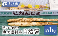 年末配送【12月21日～12月31日お届け】【2026年産】粘りが自慢の自然薯＼10月中旬～3月末発送受付／郡上奥美濃　自然薯 食品  野菜  その他野菜  山芋 自然薯 とろろ とろろご飯 岐阜県 郡上市 山菜 自然薯 とろろ芋
