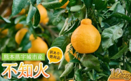 令和8年熊本地震復興支援  先行予約【訳あり・徳用品】熊本県不知火産不知火 約12kg（傷み補填分含み計12.5kg入り）【2027年2月上旬から4月下旬頃発送予定】