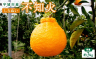 先行予約 不知火 3kg 【2027年2月上旬-4月下旬発送予定】 ひかる農園 しらぬい 柑橘類 みかん 宇城市産 熊本県産 九州産 国産