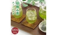 初摘み茶 100包 お茶 ティーバッグ 茶葉 緑茶 日本茶 飲料 茶葉 煎茶 新茶 一番茶 国産 若々しい香り みずみずしい 旨み 急須 手軽 本格的 こだわり 上質 天然素材 家庭用 くつろぎ ティータイム 熊本県 宇城市 送料無料 丸佳本店
